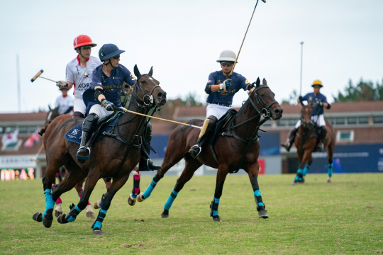 대한폴로연맹이 지난 26일부터 제주도 한국폴로클럽에서 열린 제2회 회장배 폴로대회를 성공적으로 개최했다. 사진은 선수들이 폴로 경기를 하는 모습. 대한폴로연맹 제공